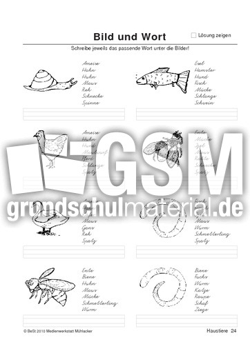 BuW Haustiere24.pdf